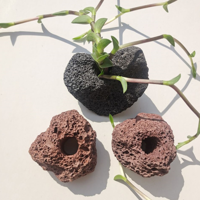 Μαύρο Ηφαιστειακό Ενυδρείο Διακόσμηση Δεξαμενή Ψαριών Φυτό Στερέωσης Γλάστρα Πόλκα Νερό Φυτά Φύτεμα σε γλάστρα Φίλτρο Αξεσουάρ Ενυδρείου