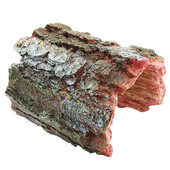 Kilpkonn roomaja peita koobas Roomajad väldivad koopaid simulatsioon vaigu puukoor kahepaiksed maastiku akvaariumi Dodge Hole kaunistamine