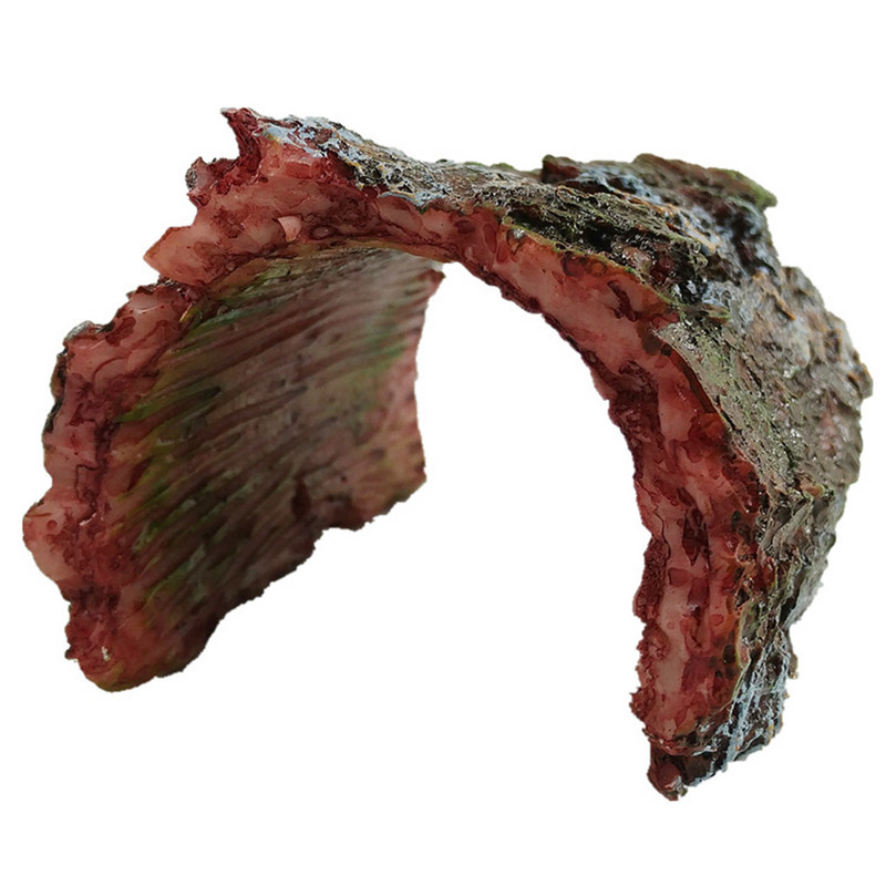 Kilpkonn roomaja peita koobas Roomajad väldivad koopaid simulatsioon vaigu puukoor kahepaiksed maastiku akvaariumi Dodge Hole kaunistamine