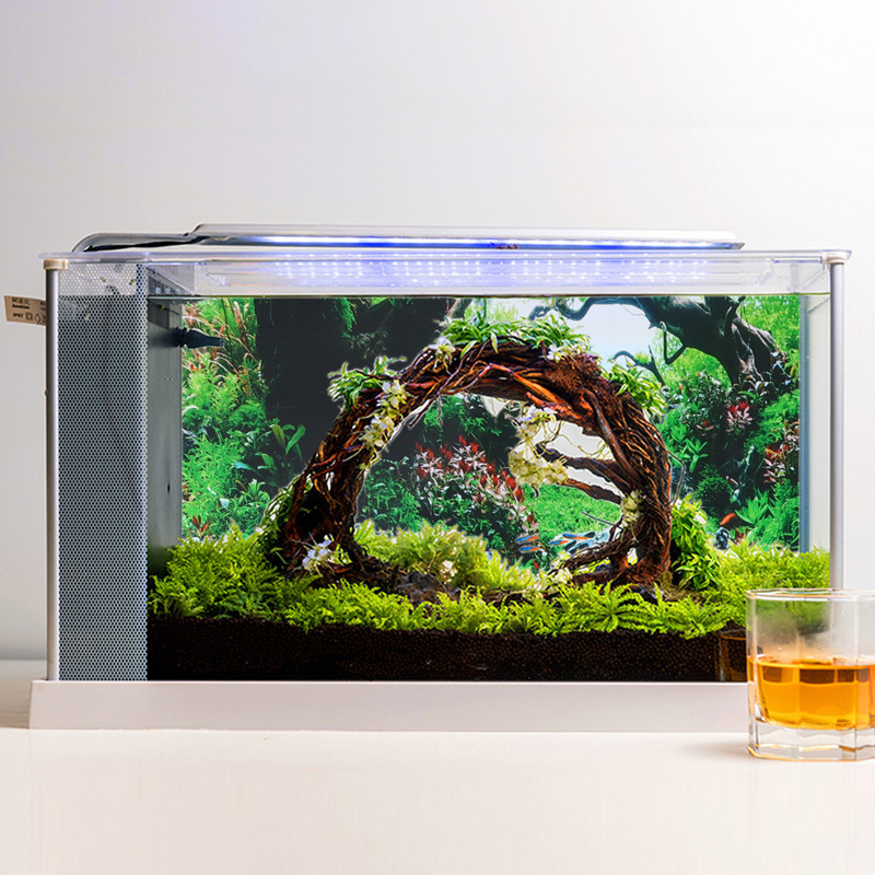 Akvaariumi taustaga kleebisplakat Akvaariumi seina haljastava seinamaali dekoratiivne kahepoolne ookeani meretaimede plakat