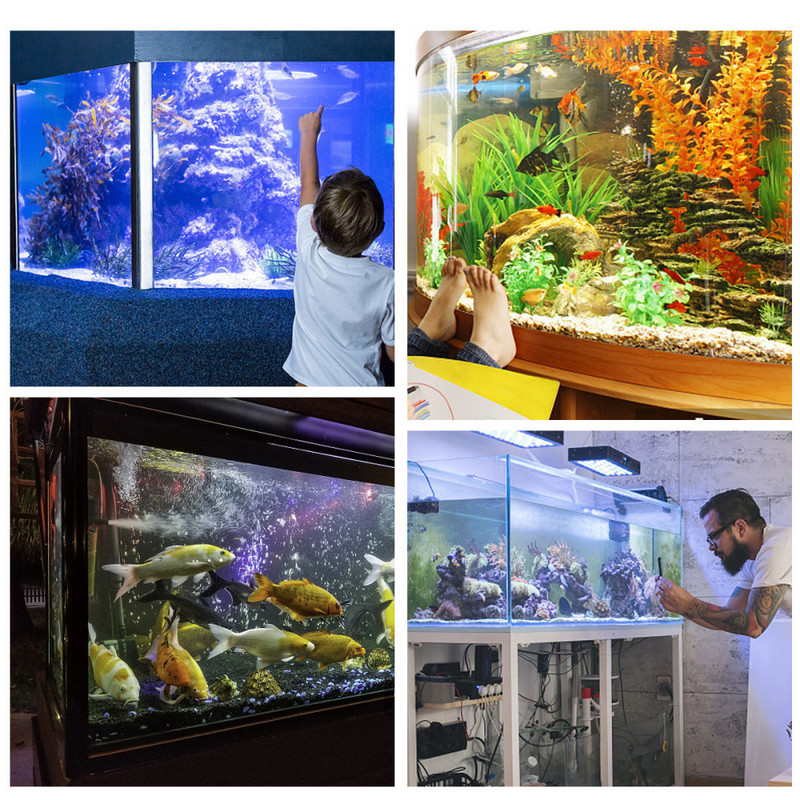 Akvaariumi taustaga kleebisplakat Akvaariumi seina haljastava seinamaali dekoratiivne kahepoolne ookeani meretaimede plakat