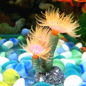 Coral Ornamente artificiale Simulare Rășină Viața marină Acvariu Peisagistic Decorație