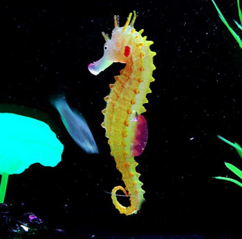 Светещ аквариум с морско конче, светещ в тъмното, озеленяване, силиконов морски кон, светещ аквариум, декорация Хипокампус