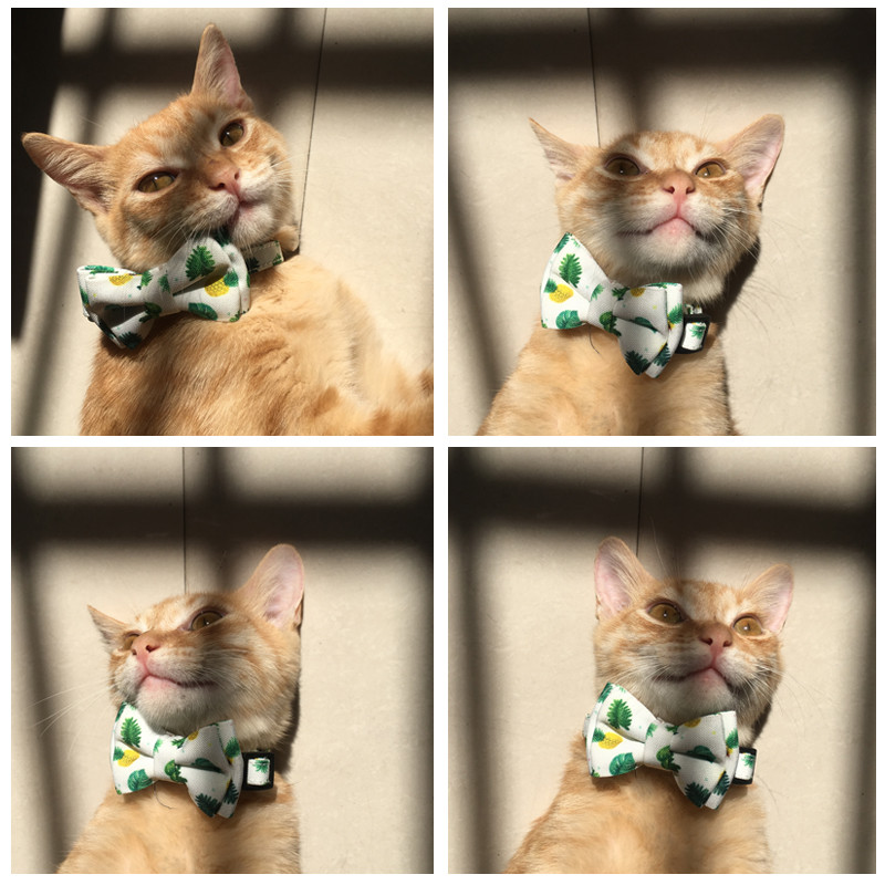 Καλοκαιρινά φρούτα μοτίβο γιακά για γάτας με καμπάνα Ρυθμιζόμενο παπιγιόν γατάκι Chihuahua Παπιγιόν για κουτάβι γιακά αξεσουάρ για κατοικίδια