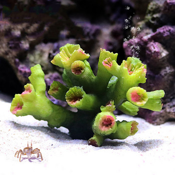 Аквариум Изкуствени коралови растения Мини смола Fish Tank Decor Ярка симулация Коралово растение Същество Орнаменти Пейзажен фон