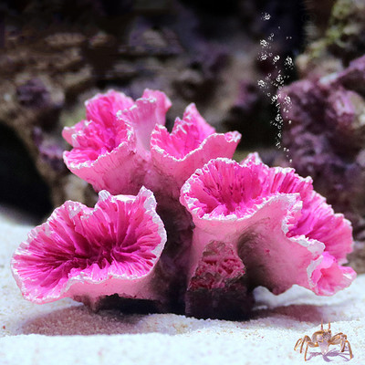 Akvárium mesterséges korall növények mini gyanta akvárium dekoráció élénk szimuláció korall növény lény díszek táj háttér