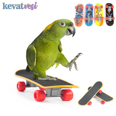 Bird Toys Funny Mini Skateboard Parrot Toy training Skateboard Budgies Parakeet Growth Toy Pajaros Intelligence Bird Accessories