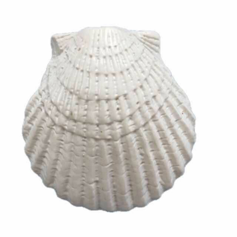 Rășină Steaua De Mare Stil Mediteranean Ornamente pentru acvariu Decoratiuni pentru acvariu Decorat pentru acvariu