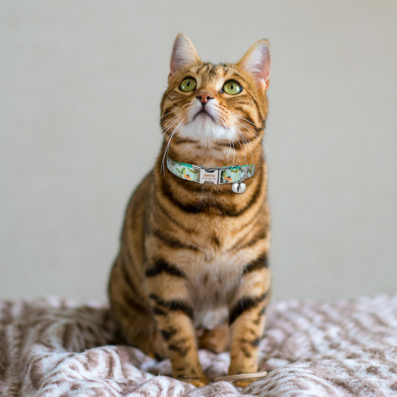 Podesiva najlonska gravirana ogrlica za mačke Prilagođena oznaka s imenom Mala velika ogrlica za mačke Karirana uniseks ogrlica za mačke Personalizirana ID ogrlica za mačke