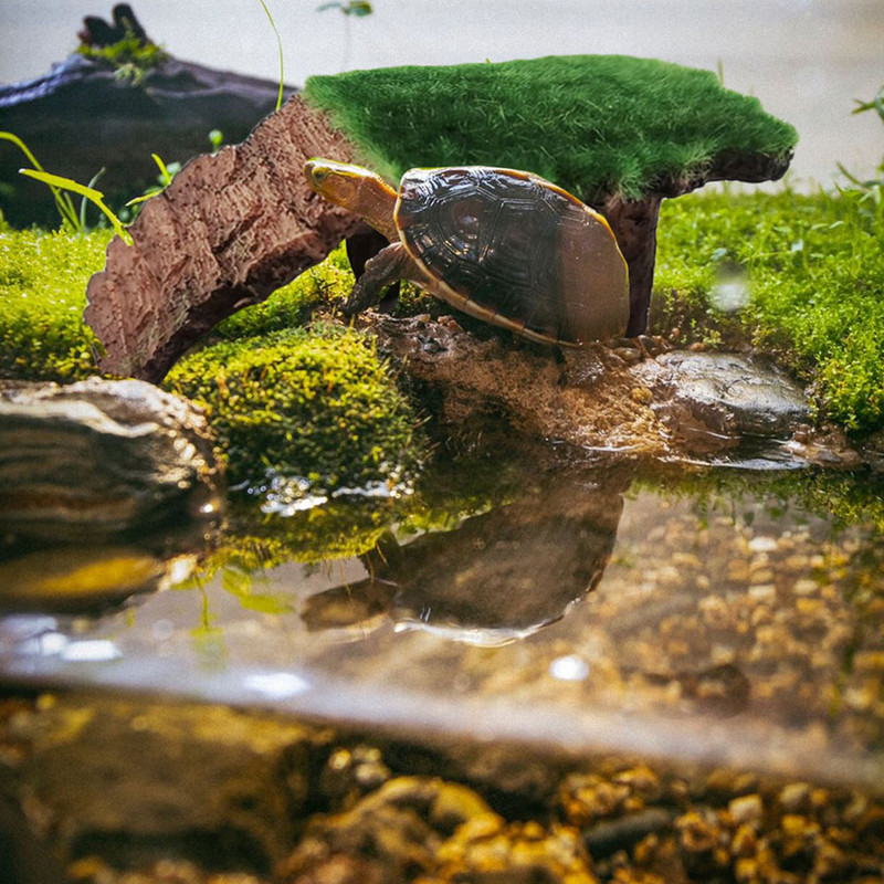 Platformă țestoasă Acvariu Broască țestoasă Doc pentru reptile Alpinism Rampă plutitoare Decorații de odihnă Fântână Terasă cu energie solară