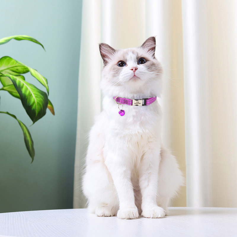 Персонализирана яка за идентификация на котка Анти-изгубени кученца Котки Нашийници с имена Персонализирани нашийници за етикет с име за домашни любимци За малки кучета Котки Аксесоари за звънец