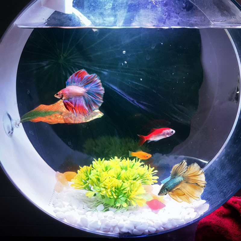 Uus akvaarium, tehisleht Betta kalapuhkus, kudemine dekoratiivtaim Betta kalamäng, lõdvestu, varjatud lehtede võrkkiik 1 komplekt