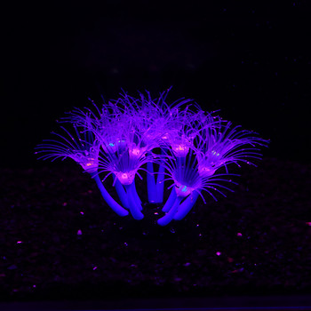 Флуоресцентно слънчево цвете Силиконова коралова изкуствена декорация Силиконова украса за аквариум с аквариум