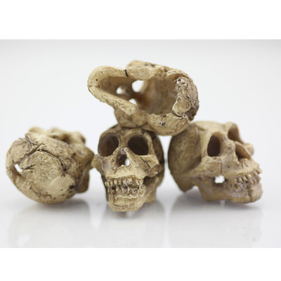 1 buc Acvariu Craniu Rășină Rezervor de Pești Craniu Rășină Ornament pentru Reptile Rezervor de Pește Acvariu Decor