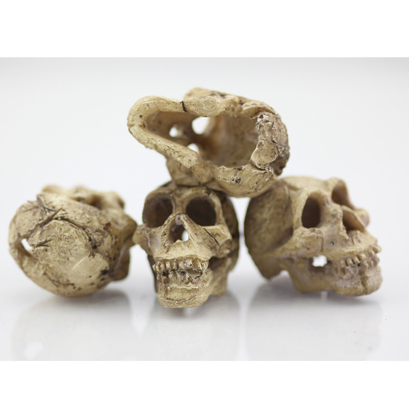 1 buc Acvariu Craniu Rășină Rezervor de Pești Craniu Rășină Ornament pentru Reptile Rezervor de Pește Acvariu Decor