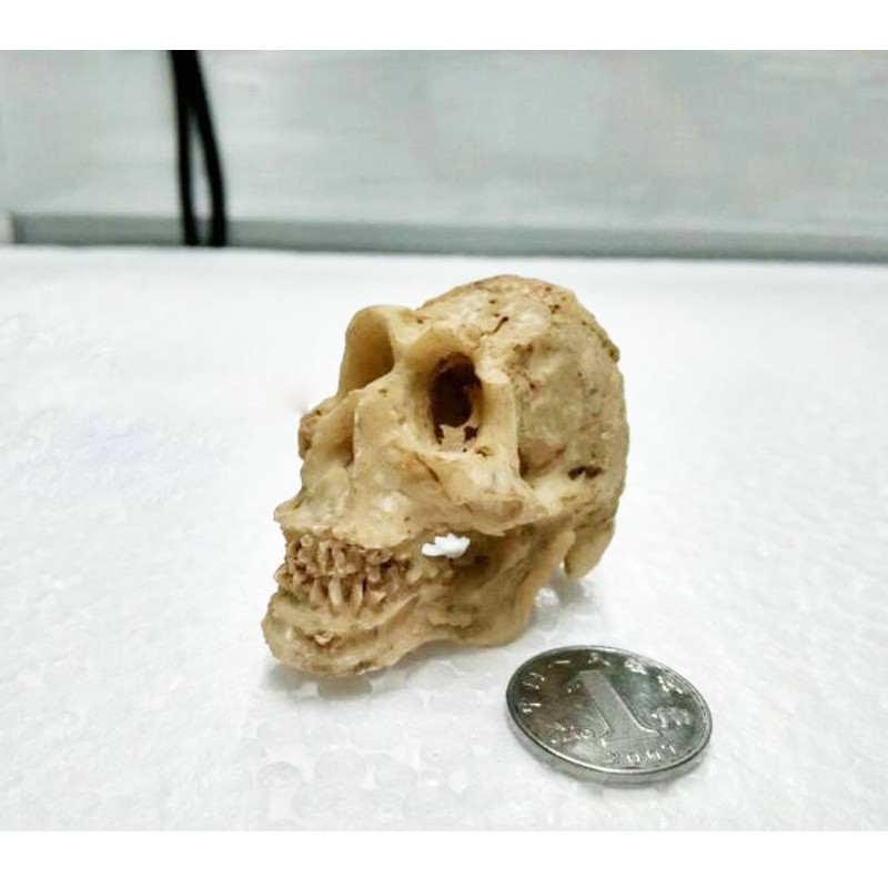 1 buc Acvariu Craniu Rășină Rezervor de Pești Craniu Rășină Ornament pentru Reptile Rezervor de Pește Acvariu Decor