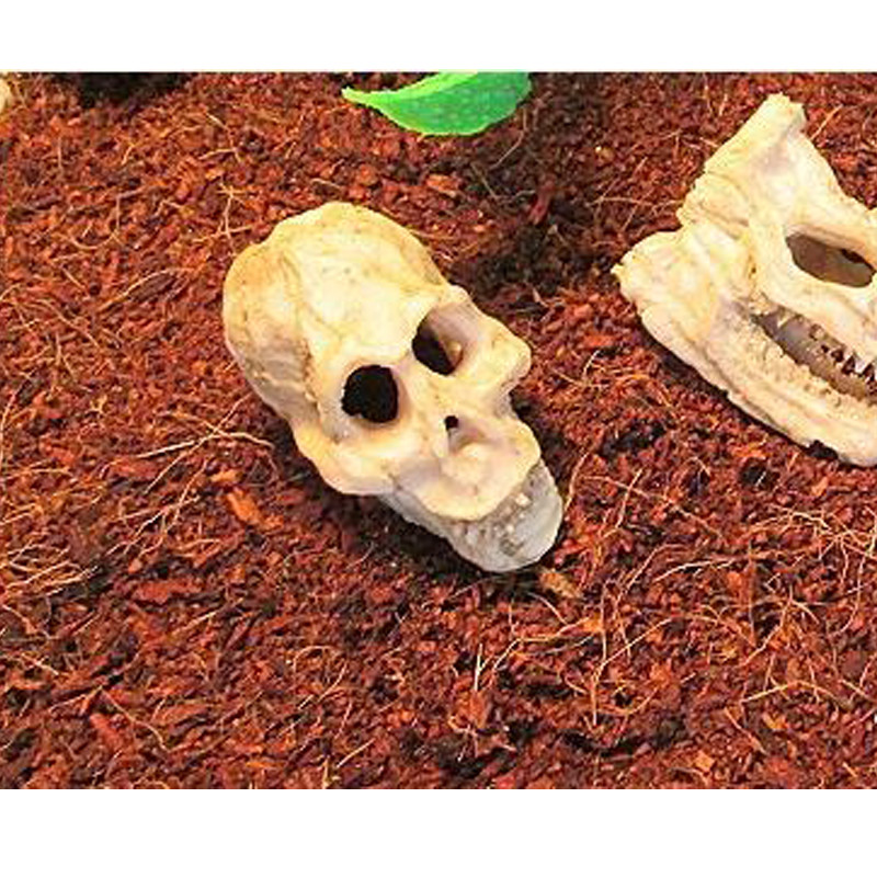 1 buc Acvariu Craniu Rășină Rezervor de Pești Craniu Rășină Ornament pentru Reptile Rezervor de Pește Acvariu Decor