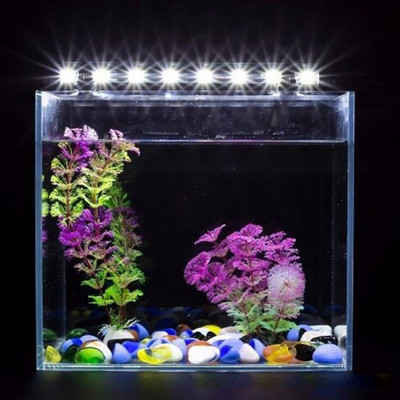 Светодиодни лампи за аквариум Водоустойчива лампа за аквариум за амфибия, потопяема