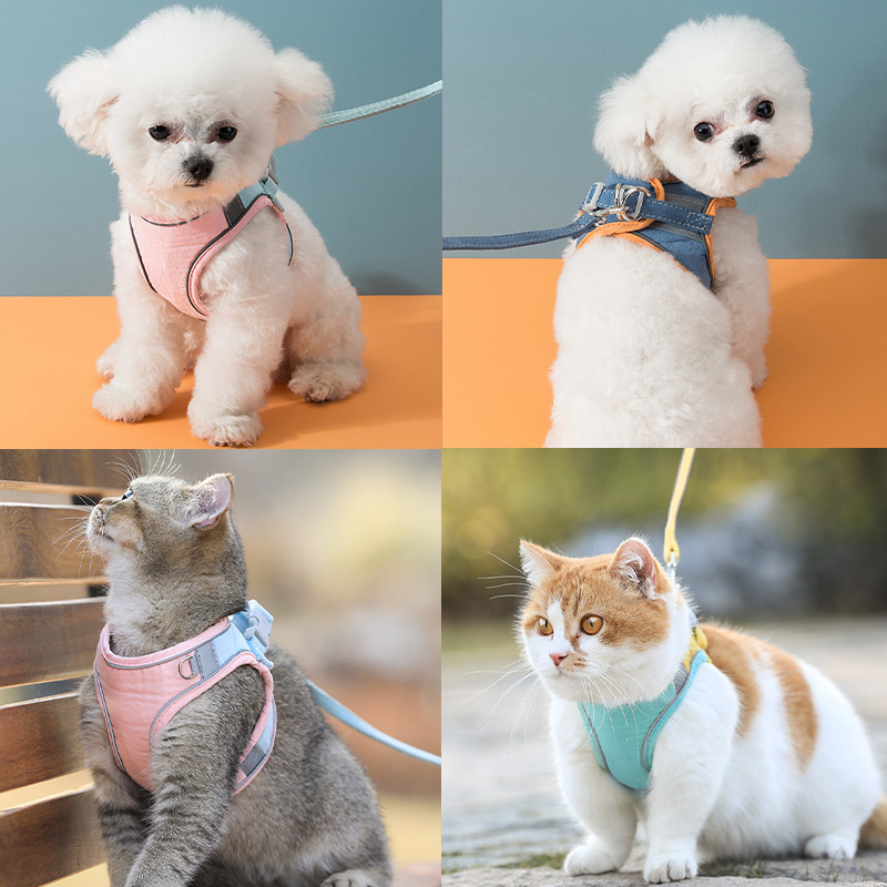 Ανακλαστικό σετ λουριών με λουριά γάτας Ρυθμιζόμενα λουριά γάτας Γιλέκο γιακά γάτας Λουρί για κατοικίδια εξωτερικού χώρου για γάτες σκύλους Αξεσουάρ για κατοικίδια