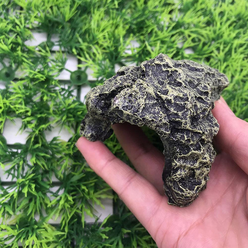 Akvaariumivaigust kahepaiksed Kilpkonn Pesutamissaare Kilpkonn Roniplatvorm Tank Vesi Kivi kalju roomajate kooparedel kaunistus