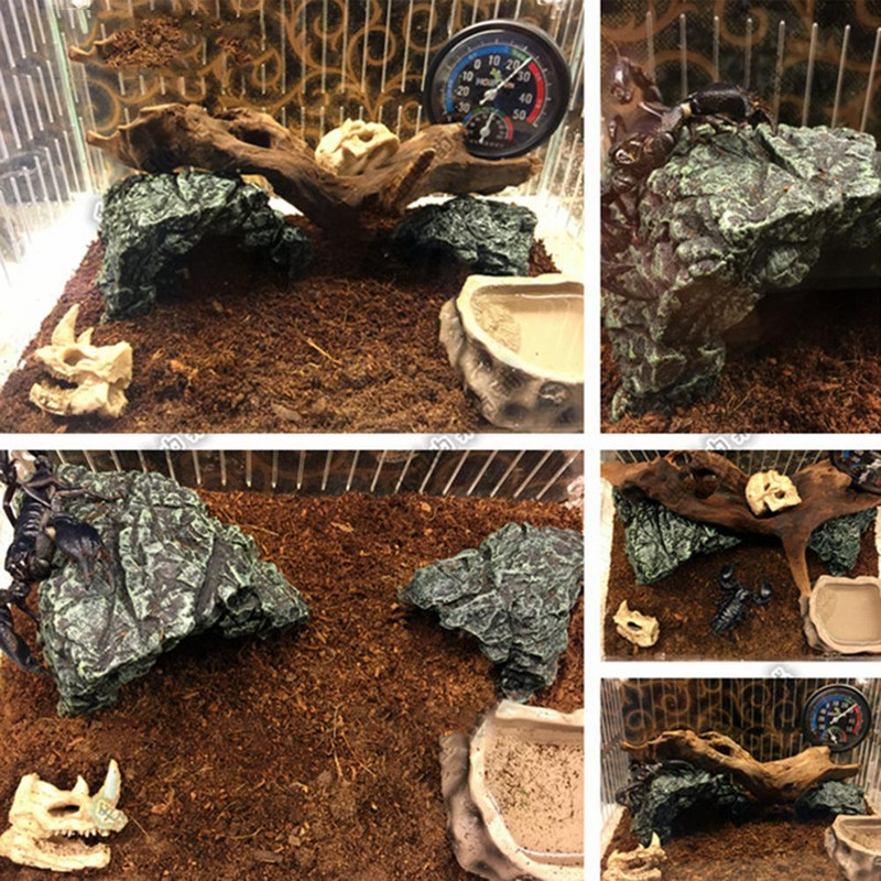 Akvaariumivaigust kahepaiksed Kilpkonn Pesutamissaare Kilpkonn Roniplatvorm Tank Vesi Kivi kalju roomajate kooparedel kaunistus