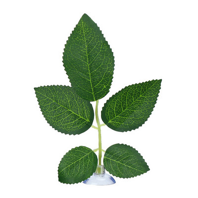 Joacă Amenajarea teritoriului Odihnă Ovipoziție Frunze Hamac Frunză Betta Plante acvatice Tanc de pește Plante Simulare