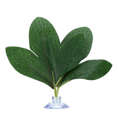 Joacă Amenajarea teritoriului Odihnă Ovipoziție Frunze Hamac Frunză Betta Plante acvatice Tanc de pește Plante Simulare