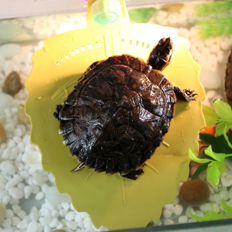 Broasca testoasa din plastic platforma de pescuit acvariu rezervor de pesti alpinism insula plutitoare acvariu amfibiene acvatica urcare scara rezervor