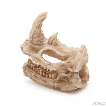 Аквариум Изкуствен череп на носорог Смола Декорация на терариум Симулация на аквариум Статуя Пейзаж Влечуго Пещера Къща Орнамент