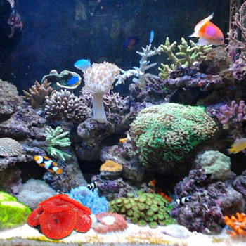 Ενυδρείο Τεχνητή Κοραλί Δεξαμενή Ψαριών Τοπίο Διακόσμηση Φυτών Προσομοίωση Ζωντανό μαλακό κοράλλι στολίδι Διακόσμηση δεξαμενής ψαριών