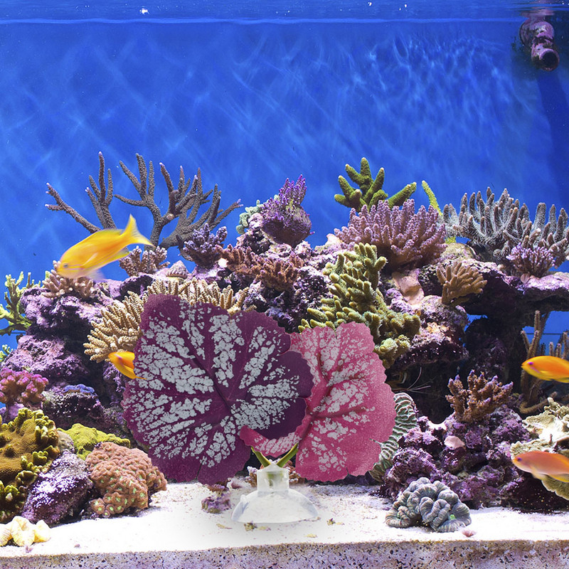 4 τμχ Διακοσμητικά Betta Fish Leaf Κρεβάτια Fish Tank Resating Leaf Hammocks (Μωβ)