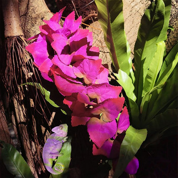 Растения за влечуги Висящи фалшиви лози Терариумно растение за декорация на местообитания в резервоара