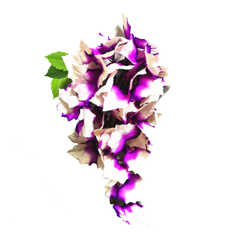 Roomajate taimed, rippuvad võltsviinapuud, terraariumitaim tanki elupaiga kaunistamiseks