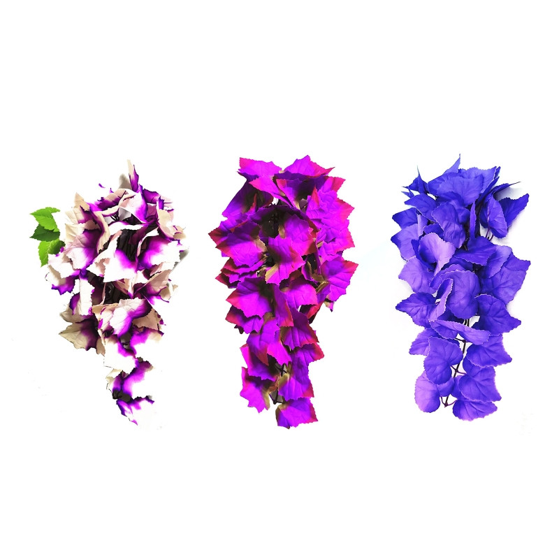 Roomajate taimed, rippuvad võltsviinapuud, terraariumitaim tanki elupaiga kaunistamiseks