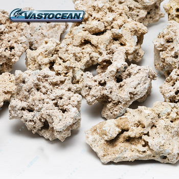 Vastocean Indonesia Java Dry Rock Stone Landscaping for Aquarium Aquascaping Supplies