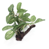 Simulatsioon Tehisakvaariumi plasttaimed Kaunistused Akvaariumi kaunistused Vesi Rohi Maastikukaunistus