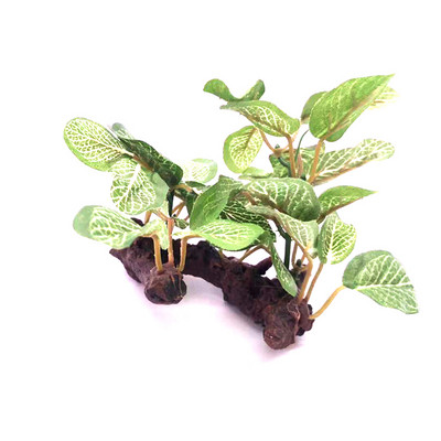 Simulatsioon Tehisakvaariumi plasttaimed Kaunistused Akvaariumi kaunistused Vesi Rohi Maastikukaunistus