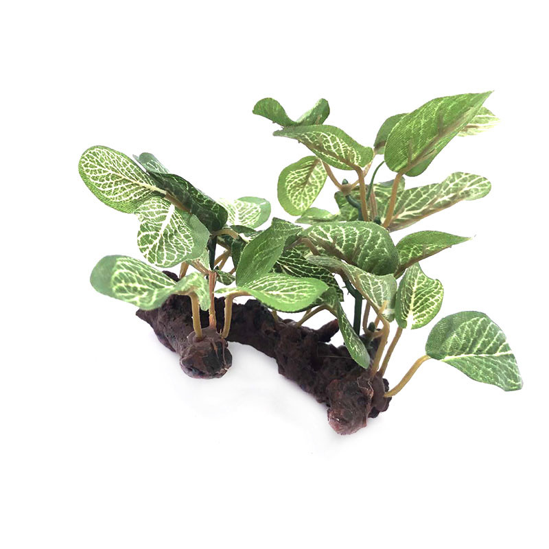 Simulatsioon Tehisakvaariumi plasttaimed Kaunistused Akvaariumi kaunistused Vesi Rohi Maastikukaunistus