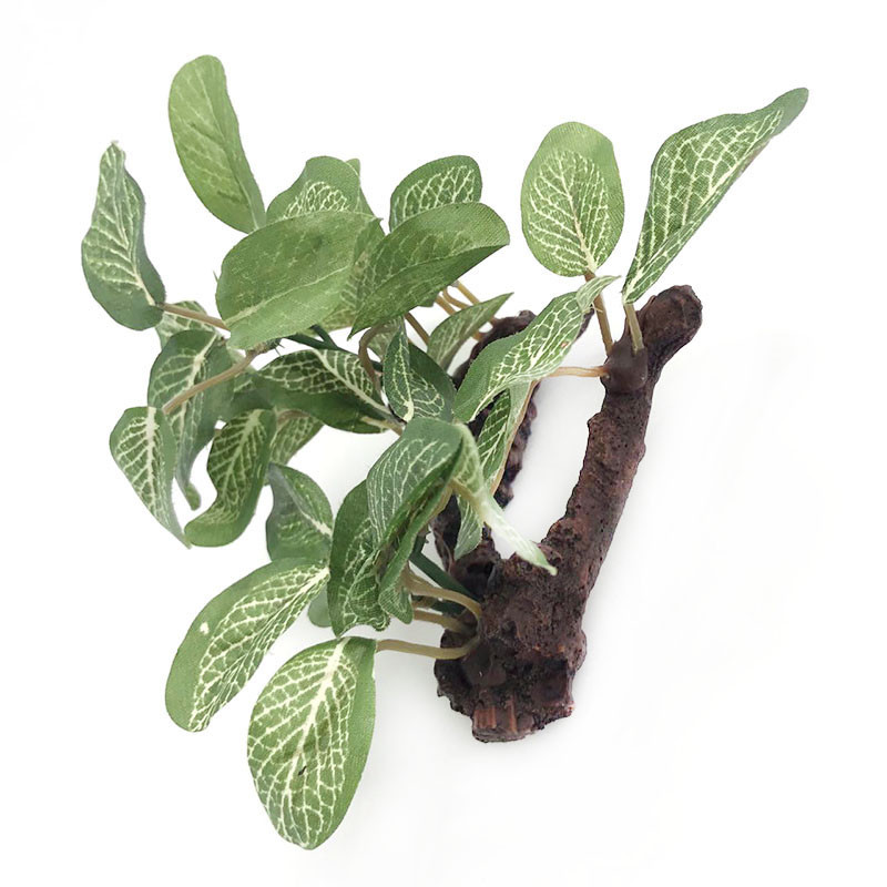 Simulatsioon Tehisakvaariumi plasttaimed Kaunistused Akvaariumi kaunistused Vesi Rohi Maastikukaunistus