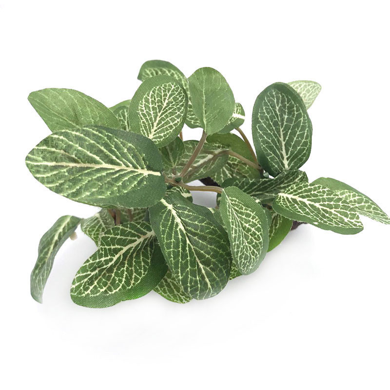 Simulatsioon Tehisakvaariumi plasttaimed Kaunistused Akvaariumi kaunistused Vesi Rohi Maastikukaunistus