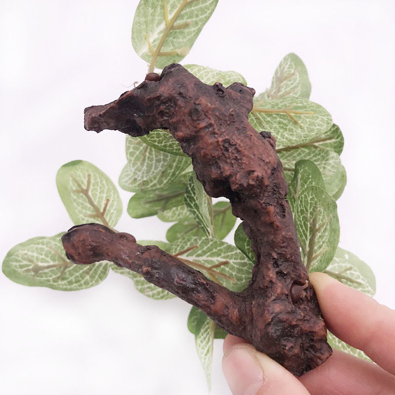 Simulatsioon Tehisakvaariumi plasttaimed Kaunistused Akvaariumi kaunistused Vesi Rohi Maastikukaunistus