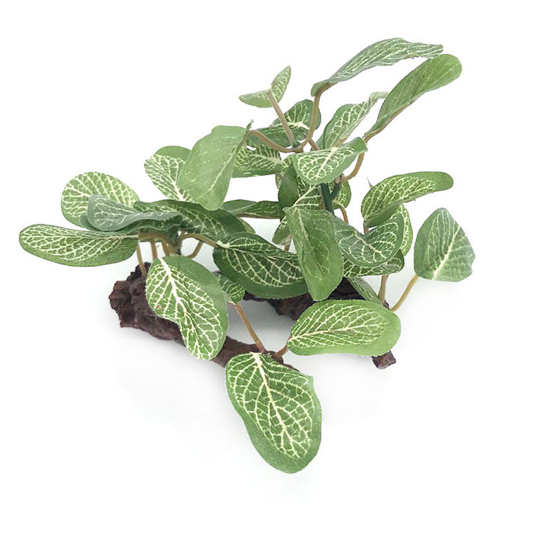 Simulatsioon Tehisakvaariumi plasttaimed Kaunistused Akvaariumi kaunistused Vesi Rohi Maastikukaunistus