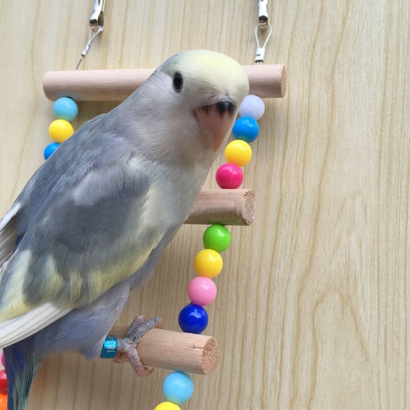 Linnud Lemmikloomad Papagoid Redelid Ronimismänguasi Rippuvad värvilised pallid naturaalsest puidust Papagoi Mänguasjad Conures`ile Papagoid Cockatiels