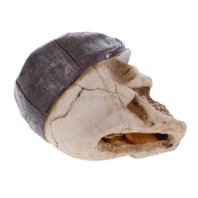 Resin Simulation Head Bone Skull Shape Terrarium Reptile Hide Cave Aquarium Fish Tank Landscape Στολίδι M13 Dropshipping