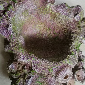 VASTOCEAN Anemone Nest Simulation Εξωραϊσμός Stone Bead Reef Aquarium Prosthesis Coral Simulation Simulation Resin