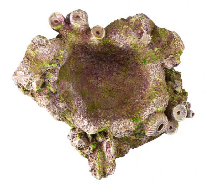 VASTOCEAN Cuib de anemone Simulare de amenajare a teritoriului Piatra fundului marii recif Proteză pentru acvariu Simulare de corali Rășină