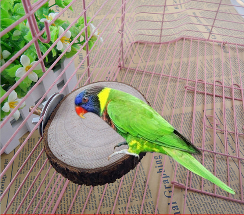 Rotund din lemn Veveriță Papagal Pasăre Biban Stand Platformă Jucărie pentru agățat cu pasăre