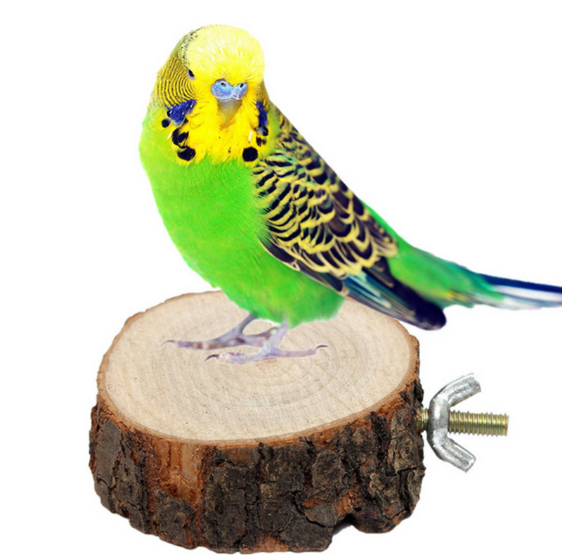 Rotund din lemn Veveriță Papagal Pasăre Biban Stand Platformă Jucărie pentru agățat cu pasăre