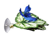 Betta Fish Leaf Pad Φυτά ενυδρείου Betta Fish Leaf Pad αιώρα προσομοίωσης βιότοπων για Betta Ελαφρύ και ρεαλιστικό ξεκούραση