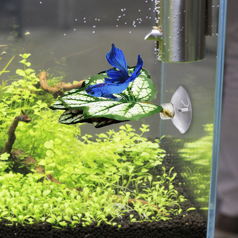 Betta Fish Leaf Pad Φυτά ενυδρείου Betta Fish Leaf Pad αιώρα προσομοίωσης βιότοπων για Betta Ελαφρύ και ρεαλιστικό ξεκούραση